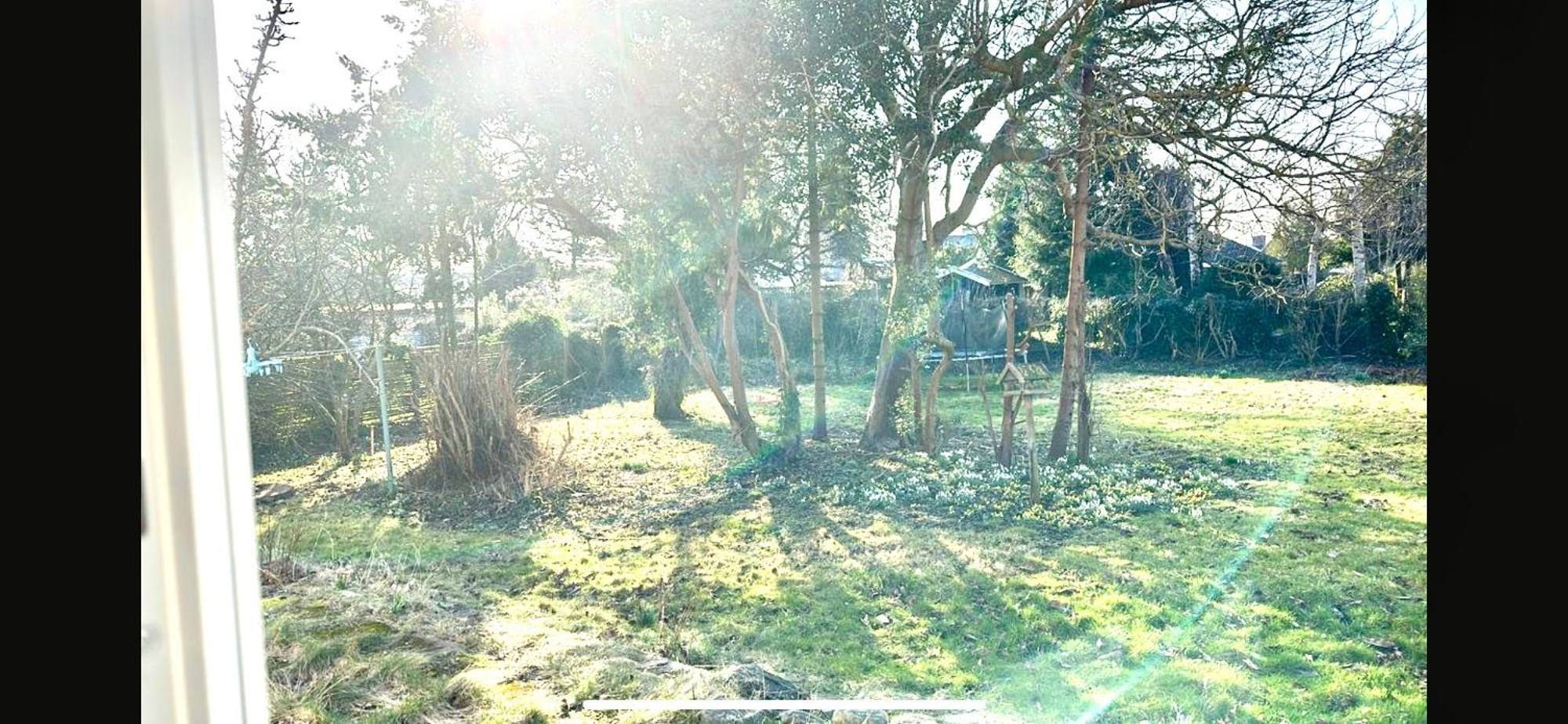 Villa Apartment Near Lousiana Humlebæk エクステリア 写真